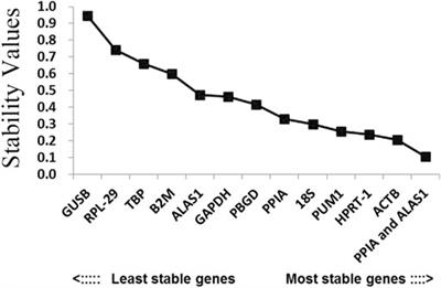 Identification of optimal reference genes for gene expression normalization in human osteosarcoma cell lines under proliferative conditions